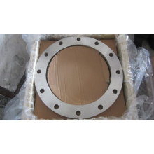 C22.8 BS En1092-1 DIN 2632 Forging Flanges, P245gh P250gh DIN Steel Flanges